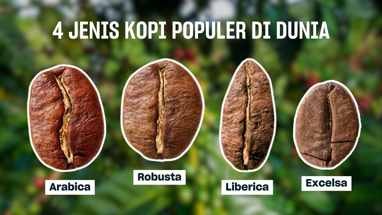 Jenis Kopi dan Manfaatnya: Lebih dari Sekadar Minuman Penyemangat